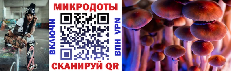 где продают   Искитим  Галлюциногенные грибы MAGIC MUSHROOMS 